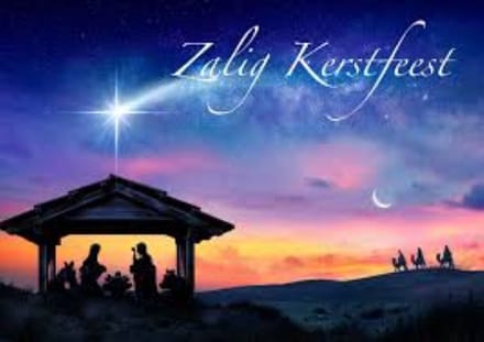 Kerstkaart Zalig Kerstfeest - 25 stuks - nr. 13