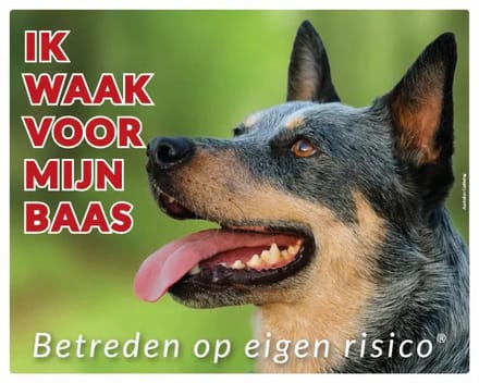 Australian Cattle Dog Waakbord