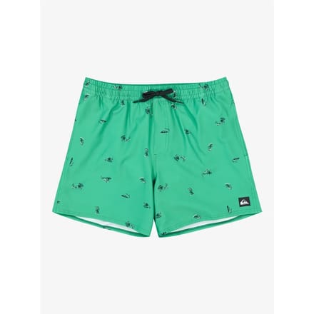 Quiksilver Stretch Printed Volley 16´´ Zwembroek Groen M Man