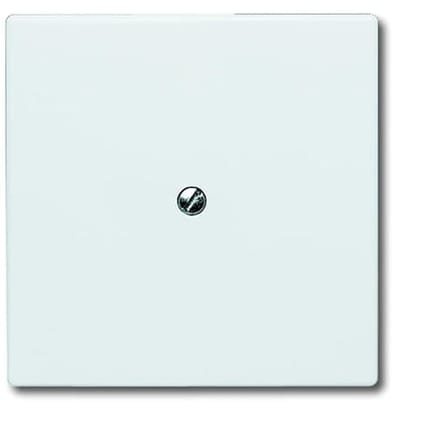 ABB Busch-Jaeger Schakelelement/Centrale Plaat voor Alle weersomstandigheden IP44 - 2CKA001710A1852 - E2ADF