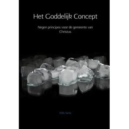 Het Goddelijk Concept - Willy Santy