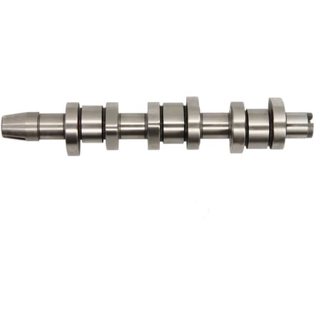 Nokkenas  AE CAM995