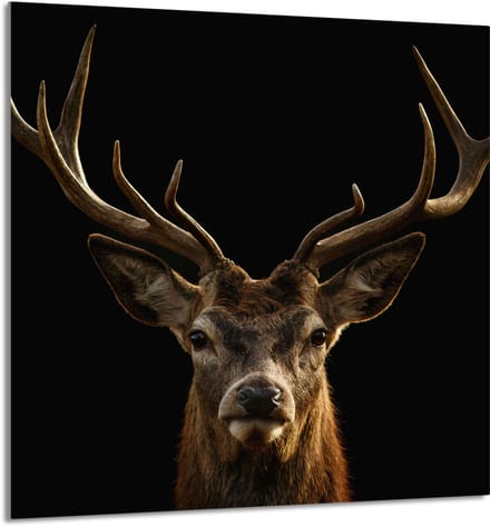 TMK ArtDeko Jeleń Serie - Snijplank - 60x65 cm - Glas - Multitoepassing