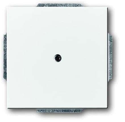 ABB Busch-Jaeger Future/Solo Bedieningselement/Centrale Plaat Schakelmateriaal - 2CKA001710A3161 - E2EYD