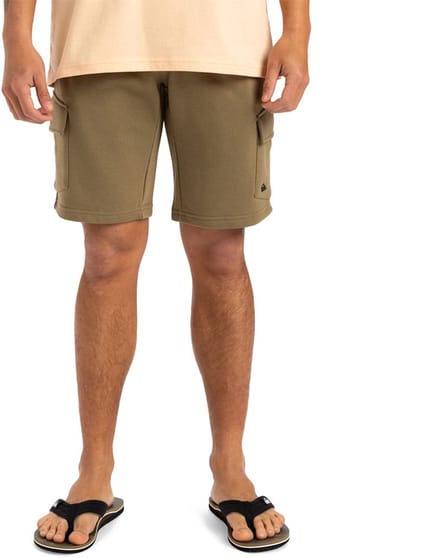 Quiksilver Cargo Korte Sportbroek Bruin XS Man