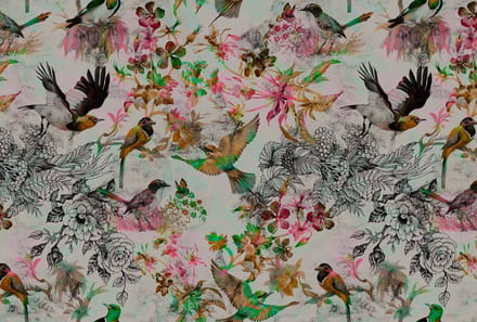 Walls by patel funky birds