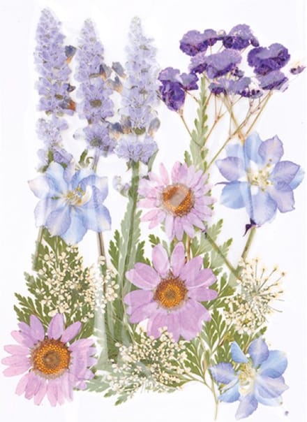 Geperste droogbloemen - Artemio