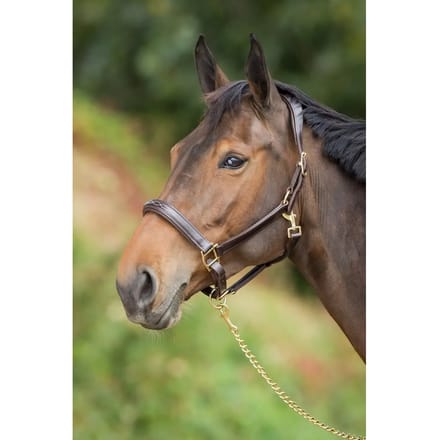 Leren halster voor paarden HFI