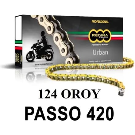 Motorfiets ketting Regina 124oroy