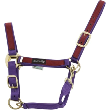 Kleurige nylon halster voor paard Umbria Equitazione
