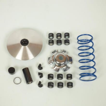 Variateur Polini pour Scooter Kymco 300 PEOPLE GT 2012 à 2015 Neuf