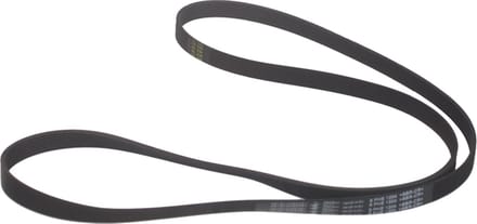 WHIRLPOOL - SNAAR POLY-V 1204 H8 ELASTISCH - 481235818167