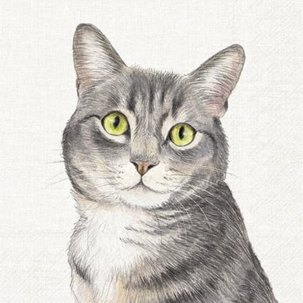 Lunch servetten - Farm cat cream