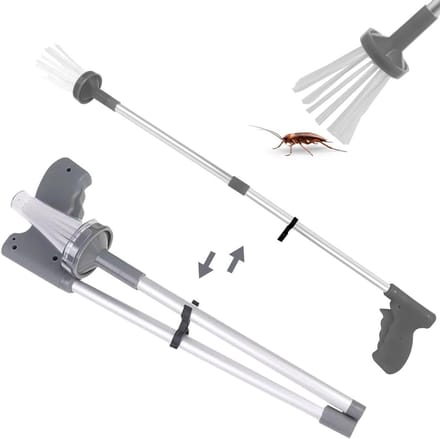 Spinnenvanger - Insectenvanger - Vliegenvanger