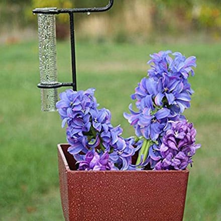 Regenmeter Glas - Neerslagmeter Buizen - Tuin Meten - Accurate Meting - 14 cm Hoog - Transparant