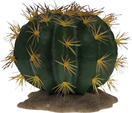 Terra Della - Reptielen - Echinocactus 1 16,5x15,5x14cm Groen - 162495