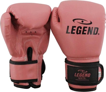 Legend Sports Bokshandschoenen Junior Roze Maat 02oz