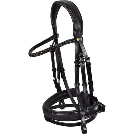 Hoofdstel Equestro