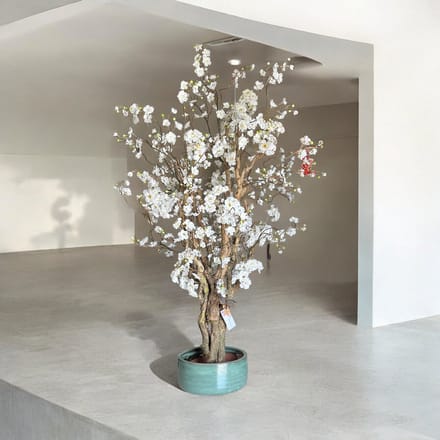 Kunstbloesemboom Crème Wit - Echt Hout - 150 cm - Sakura - Seta Fiori