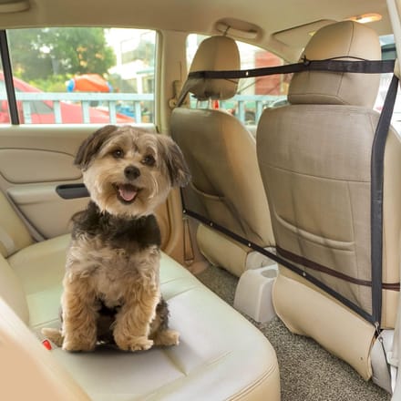 Hondennet Auto - Honden Net Auto - Honden Net Auto Kofferbak - Veiligheidsnet Auto - Hondennet Auto Universeel