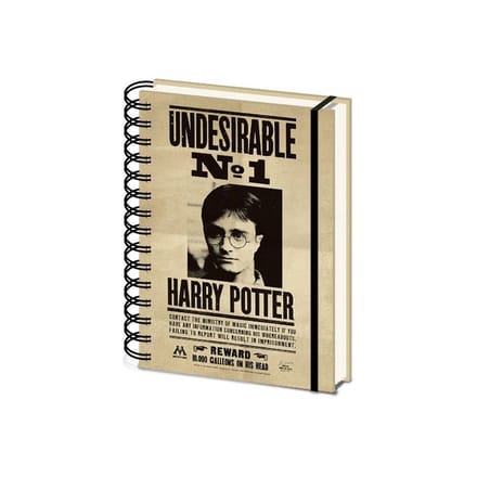 HARRY POTTER - Sirius & Harry Potter Notitieboek A5 3D