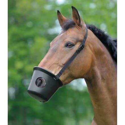 Colگr voor paarden tegen koliek Waldhausen