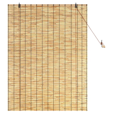 vidaXL - Rolgordijn - Naturel - 120 - x - 160 - cm - Riet