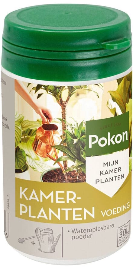 Pokon Kamerplanten Voeding Poeder 100gr