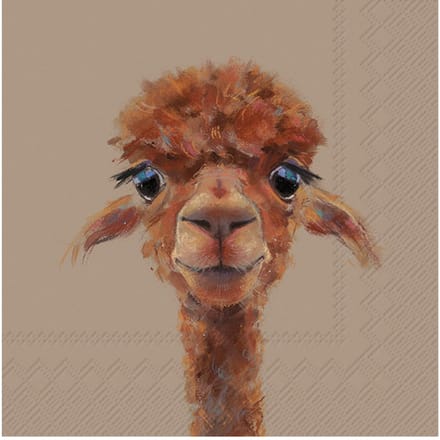 Servet "Alpaca Fernando"