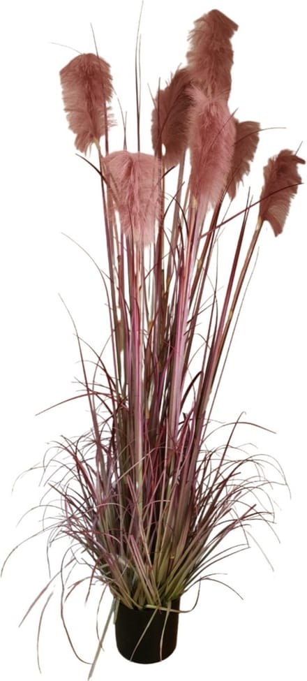 Mica Decorations Foxtail - kunstplant - H 180 x Ø 80 cm, Bordeaux