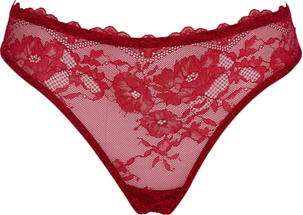 After Eden Thulien String lace Dames Onderbroek - Dark Red - Maat XL