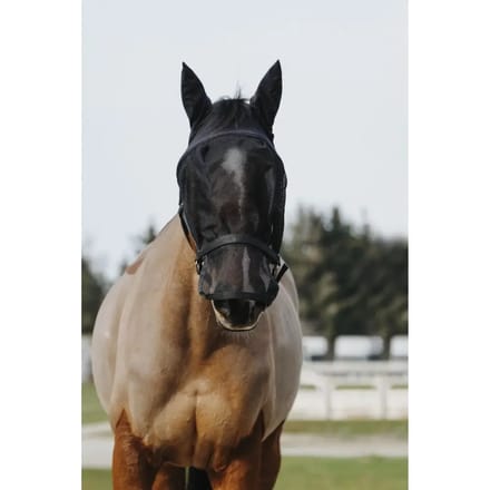 Halster en Anti-Vliegenmasker voor paarden Equithème