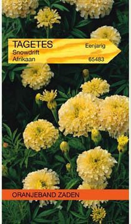 Oranjebandzaden -  Tagetes, Afrikaan Snowdrift