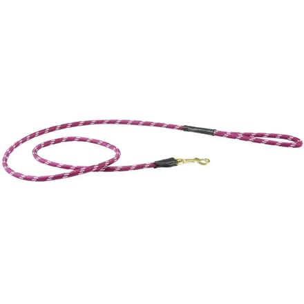 Leren hondenriem Weatherbeeta Rope