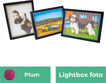 Lightbox foto - Plum