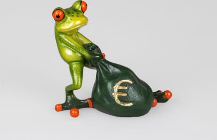 Kikker beeldje mijn eerste baan zaken doen geschenk geslaagd