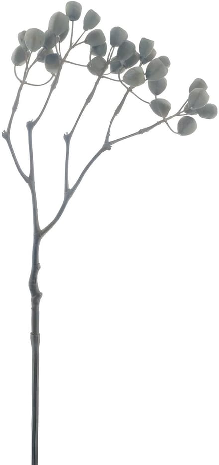 Sifang fruit spray bruin 68 cm kunsttak Buitengewoon de Boet