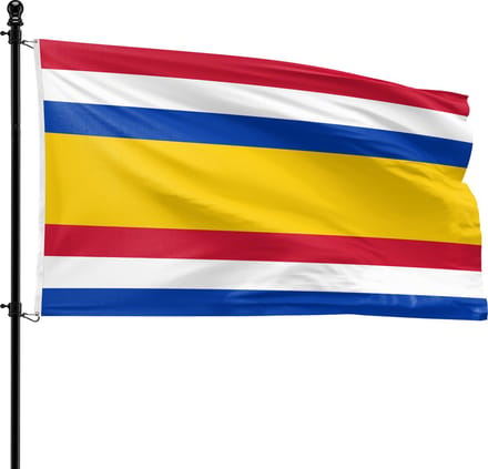 VlagDirect - Tholen vlag - Gemeente Tholen vlag - 90 x 150 cm.