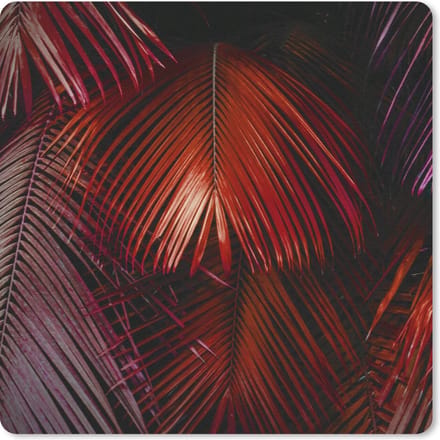 Muismat 20x20 cm - Mousepad Jungle - Design - Kleuren - Bladeren - Muismatten