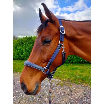 Leren halster voor paarden KM Elite Luxury version