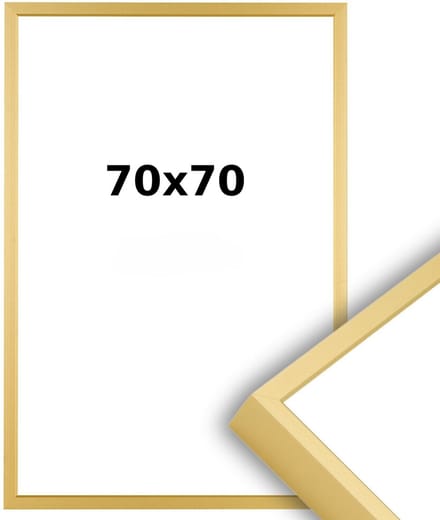 Aluminium Wissellijst 70 x 70 Mat Champagne Goud - Ontspiegeld Acrylite - Professional