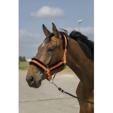 Schapenvacht nylon halster Equithème