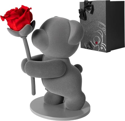 Bewaarde Rozenbeer Cadeau - Eeuwige Roos Teddybeer in Geschenkdoos