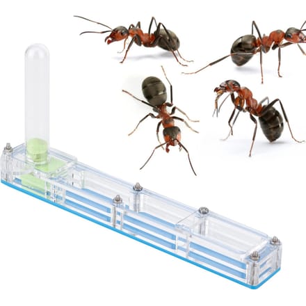 Acryl Mierenkweekhuis Nest Formicarium Displaybox met Watertoren Hydraterendblauw white