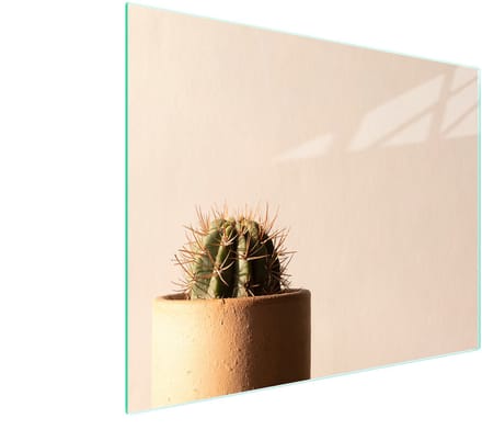TMK ArtDeko - Snijplank - Glas - 52x30 cm - Kaktus