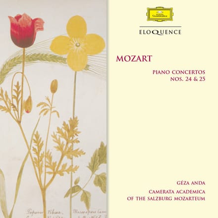 Piano Concertos 24 & 25