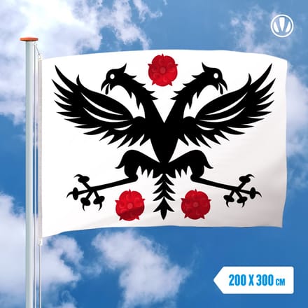 Vlag Deinze 200x300cm