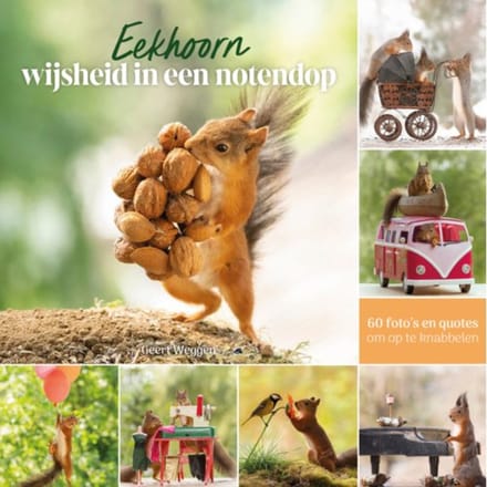 Eekhoorn Wijsheid In Een Notendop - Geert Weggen