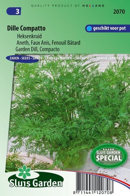 Sluis Garden - Dille Compatto (Anethum graveolens)