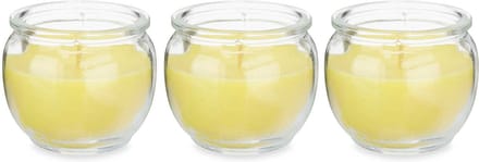 Ibergarden Citronella kaars in houder - 3x - glas - 20 branduren